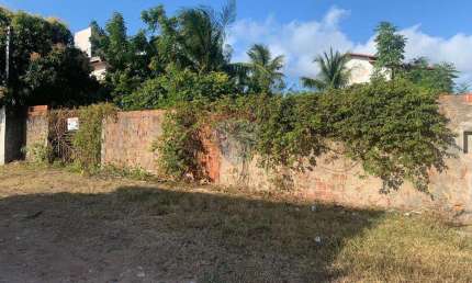 Terreno à venda na praia de cotovelo (15x30), 450m2.