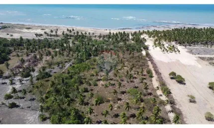Terrenos beira mar a venda em São Miguel do Gostoso