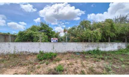 vendo terreno com localização Ideal em Pium: 2000m², Oportunidade Única' 15 minutos da praia cotovelo.
