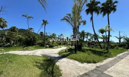 Terreno à venda na Rodovia Armando Calil Bulos, 2599, Vargem Grande, Florianópolis por R$ 450.000