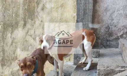 Oportunidade Lindo Sobrado  3 Dorm. 1vaga -  Taboão da Serra