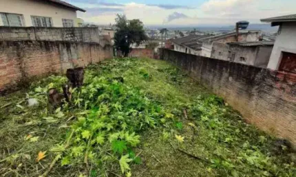 Terreno à venda, 420 m² por R$ 400.000,00 - Vila Bernadotti - Mogi das Cruzes/SP