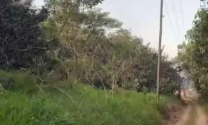 Terreno à venda, 21869 m² por r$ 350.000,00 - porteira preta - mogi das cruzes/sp