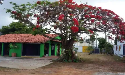 Terreno comercial à venda no Estrada do Coco, Lauro de Freitas  por R$ 4.200.000