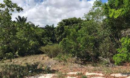 Terreno à venda no Abrantes, Camaçari  por R$ 650.000