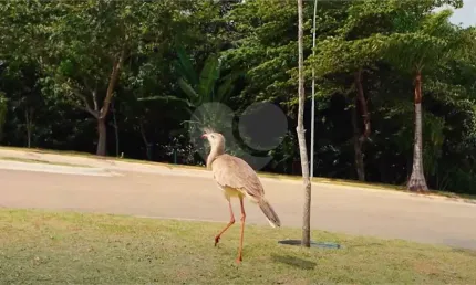 Loteamento à venda em chácaras residenciais santa maria - sp
