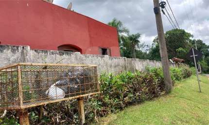 Fazenda à venda na Abilio Paes De Almeida, Centro, Araçoiaba da Serra