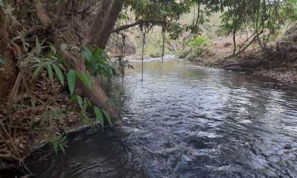 Chácara / sítio à venda na Rodovia Df- 140 Km 11, 16/17/18, Jardim Botânico (Lago Sul), Brasília