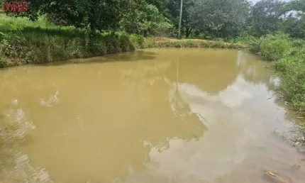 Chácara para Venda em Brasília, NÚCLEO RURAL NOVA BETÂNIA - JARDIM BOTÂNICO, 2 dormitórios, 1 suíte, 2 banheiros, 3 vagas