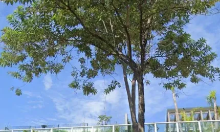 Imóvel para venda com 167 metros 3 suítes ou 4 dorm.  no anália franco
