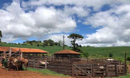 Fazenda à venda em Faxinal, Zona Rural, com 1 quarto, com 9196000 m²