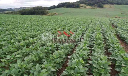 Fazenda à venda em Apucarana, Parque Industrial Zona Oeste, com 1 quarto, com 2819300 m²
