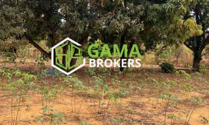 Vendo Lote no Pedregal Novo Gama- GO Situado no Vale das Andorinhas Zona Rural, próximo do loteamento do Green Ville