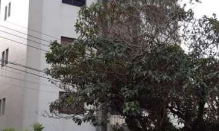Apartamento com 4 quartos à venda no Centro, Poços de Caldas 