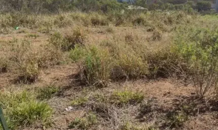Terreno à venda no Jardins de Florença, Poços de Caldas 