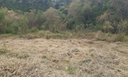 Terreno à venda no Laranjeiras de Caldas, Caldas 