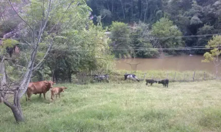 Fazenda à venda no Três Barras, Senador José Bento 