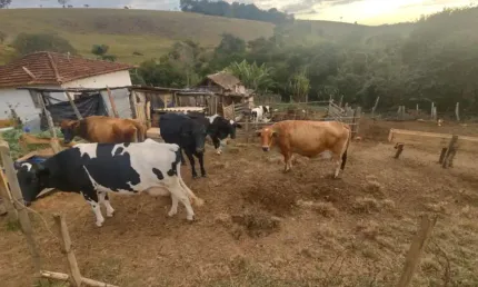 Fazenda à venda na Zona Rural, Caldas 
