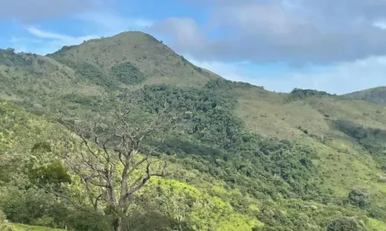 Fazenda à venda na Área Rural de Poços de Caldas, Poços de Caldas 