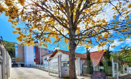 Ponto comercial para alugar no Centro, Poços de Caldas 