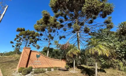 Terreno à venda no Laranjeiras de Caldas, Caldas 