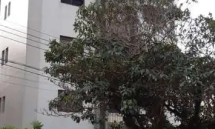 Apartamento com 4 quartos para alugar no Centro, Poços de Caldas 