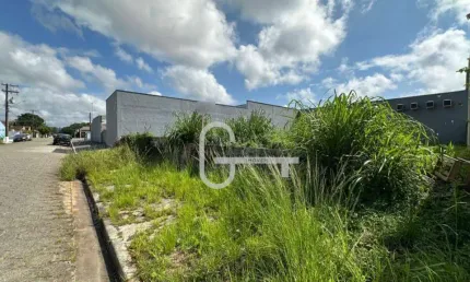 Terreno à venda, 291 m² por R$ 185.000,00 - Jardim Icaraiba - Peruíbe/SP