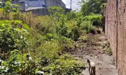 Lote / Terreno de Bairro Para Vender no bairro Atalaia em Aracaju