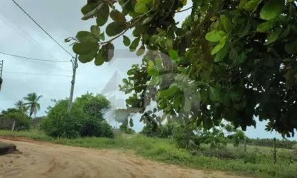 Lote / Terreno de Bairro Para Vender no Robalo em Aracaju