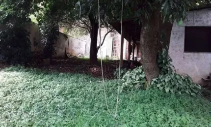 Terreno com Imóvel Antigo no Baeta Neves - São Bernardo do Campo