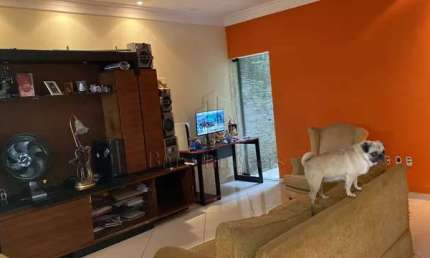 Casa com 3 quartos à venda na Rua Laureano, Vila Camilópolis, Santo André