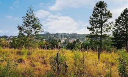 Terreno à venda no Campestre, São Leopoldo  por R$ 150.000
