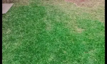 Terreno para venda em balneário piçarras, itacolomi
