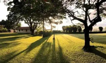 Chácara com 5 quartos, Jardim Santa Maria II - Campinas