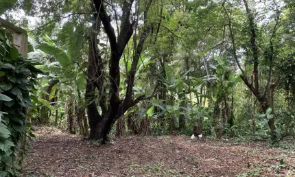 Terreno em Condomínio para Venda em Lauro de Freitas, Recreio Ipitanga