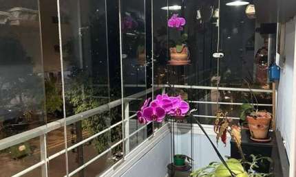 Apartamento para Venda em Campinas, Vila Itapura, 2 dormitórios, 2 banheiros, 1 vaga
