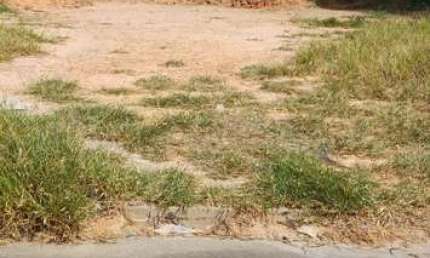 Terreno para Venda em Campinas, Residencial Cittá Di Firenze