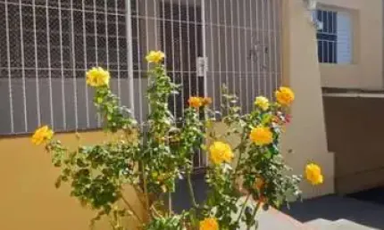 Casa para venda em campinas, bonfim, 3 dormitórios, 2 banheiros, 1 vaga