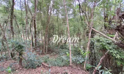 Terreno à venda, 765 m² por r$ 150.000,00 - pessegueiros - teresópolis/rj
