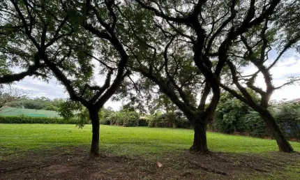 Terreno com metragem de 1.182 m² no Condomínio Residencial Primavera (Vila das Artes) em Salto.