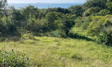 Terreno à venda na Rua Caminho Do Rei, sn, Praia da Gamboa, Garopaba