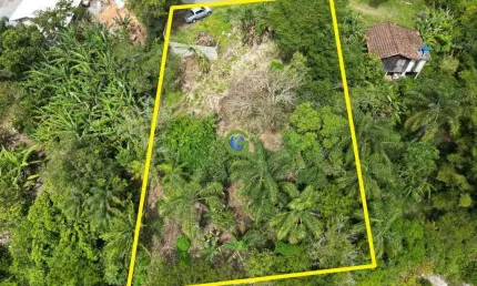 Terreno à venda no bairro Gamboinha em Paulo Lopes.