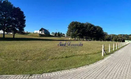Terreno à venda, 4800 m² por R$ 1.100.000,00 - Campo Largo da Roseira - São José dos Pinhais/PR