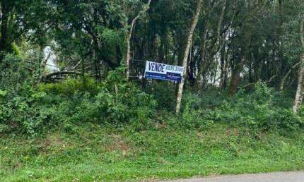 Terreno à venda, 824 m² por R$ 825.000,00 - Aristocrata - São José dos Pinhais/PR