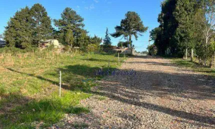 Terreno à venda, 1000 m² por R$ 350.000 - Colônia Mergulhão- São José dos Pinhais/PR