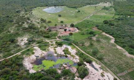 Fazenda completa à venda em Olivedos/PB: 281 hectares com Infraestrutura e Potencial!
