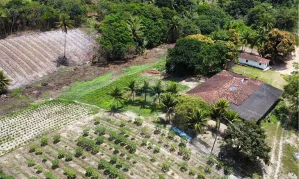 Granja/Sítio à venda no Conde, c/ 16 hectares e c/ 2 rios perenes