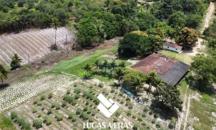 Granja/sítio à venda no conde, c/ 16 hectares e c/ 2 rios perenes