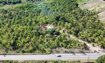 Área Rural / Granja à venda no Conde, com 13,7 hectares 'Beira de Pista e c/ Rio Perene'
