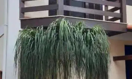 Casa em Condomínio para Venda em Rio das Ostras, Recanto, 2 dormitórios, 2 banheiros, 1 vaga